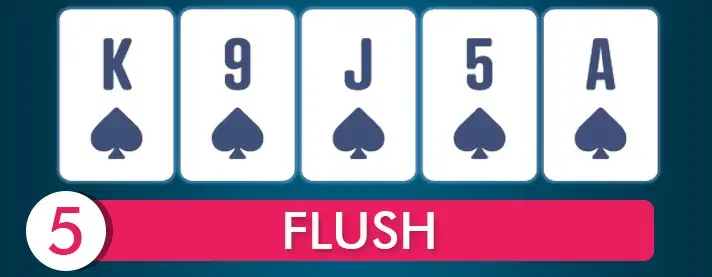 Flush Poker